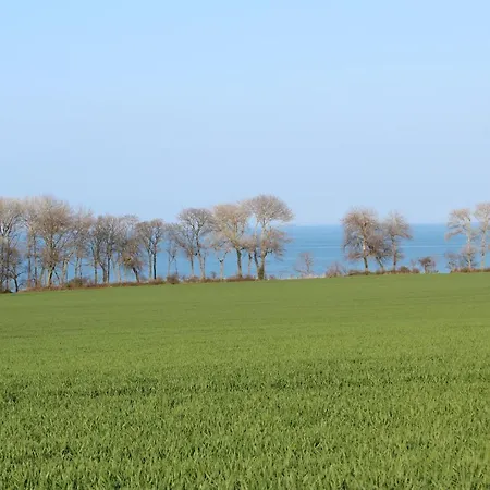 Ferienhaus Waldpavillon Fehmarn