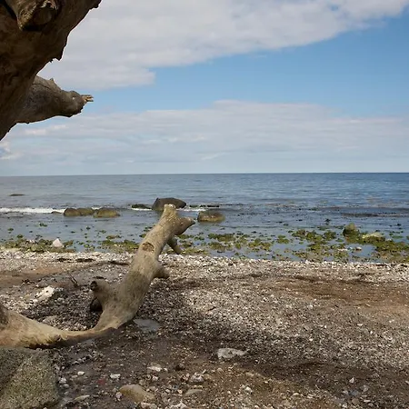 Waldpavillon Ferienhaus