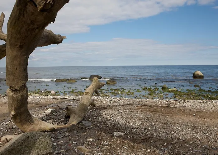 Waldpavillon Casa de Férias